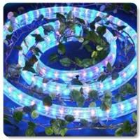 Smd 3528 Led Strip, Ledlight, Led Down Light, Bay Light, Outdoor Lighting