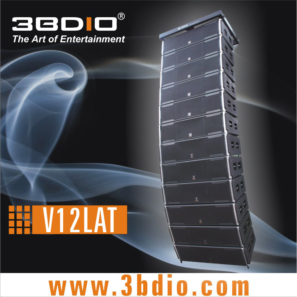 Sell line array speaker 12LAT