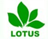 Lotus (guangzhou) Industrial Co., Ltd
