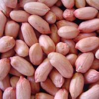 New Chinese Peanut Kernels