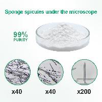 Hydrolyzed Sponge Spongilla Spicules Powder Cosmetic Ingredient