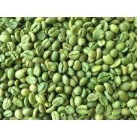 Green Coffee Beans for sell