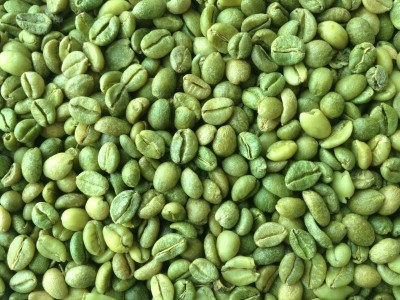 Green Coffee Beans for sell