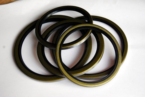 Excavator Bucket Spindle Oil Seal