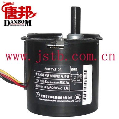 Household Electric Motor (10rpm/220v)