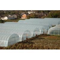 Plastic Greenhouses High Tunnels
