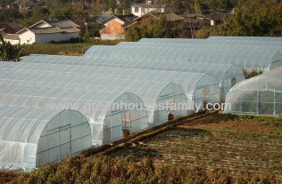 Plastic Greenhouses High Tunnels