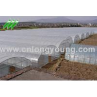 Sell Tunnel Greenhouse