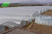Sell Tunnel Greenhouse