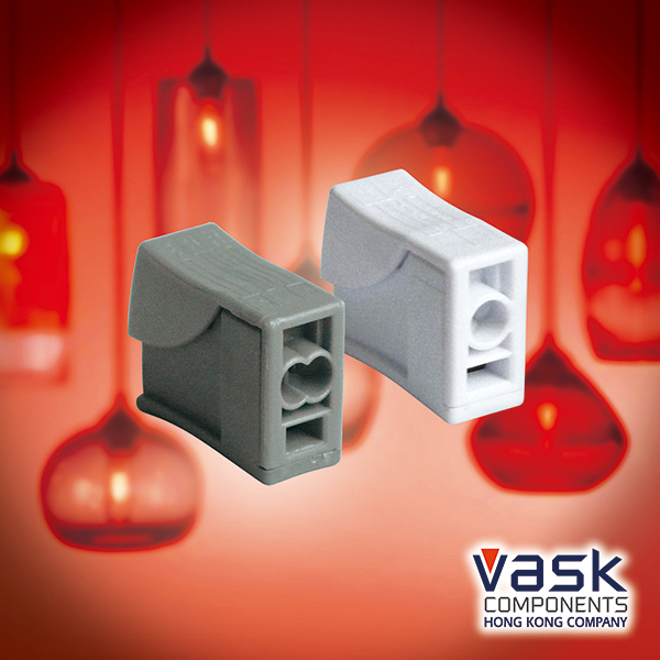 Lighting Connector, (fr single / dual connection)