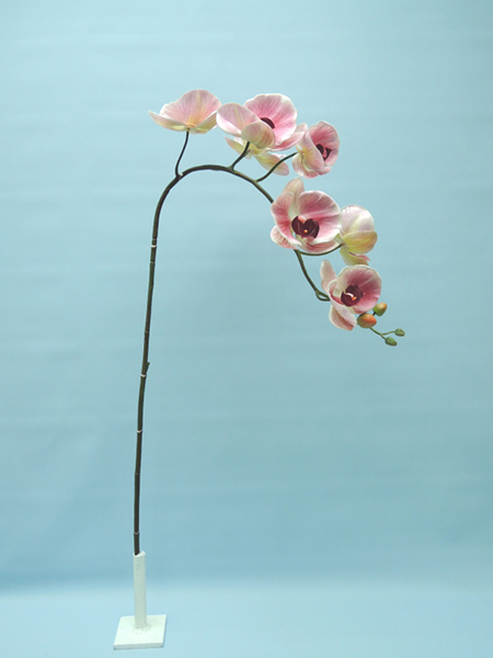 ORCHID