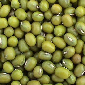 Sell Green Mung Beans