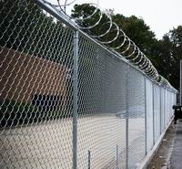 Galvanized Chain Link Fence