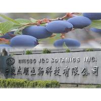 European Bilberry Extract