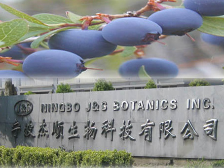 European Bilberry Extract