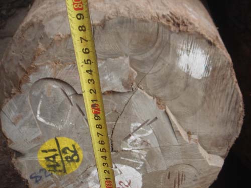 Burma Great Teak Wood For Special Use