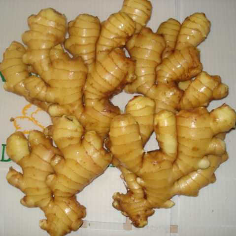 Sell Ginger