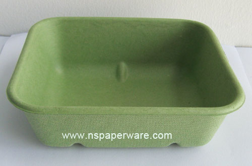 Bagasse Trays Disposable Biodegradable Tableware High Quality Manufactuer