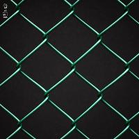 Pe-coated Wire Mesh Fence