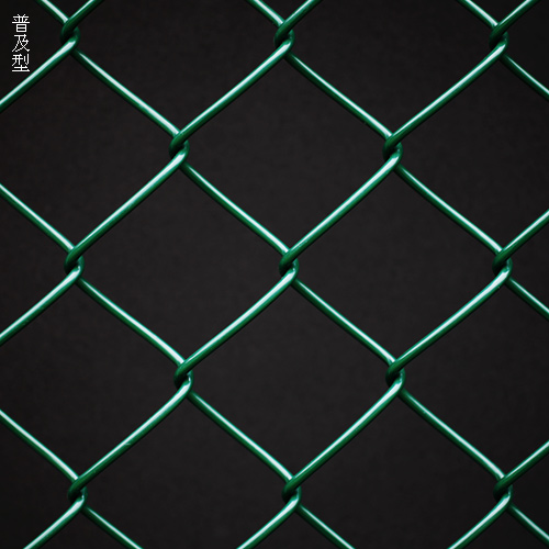 Pe-coated Wire Mesh Fence