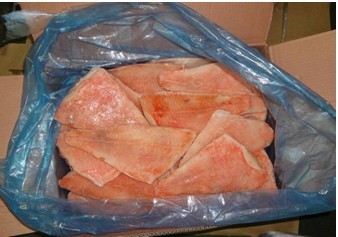 Frozen Red Fish Fillets