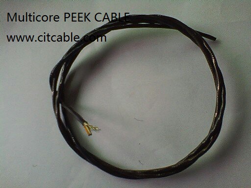 Peek Wire Cable