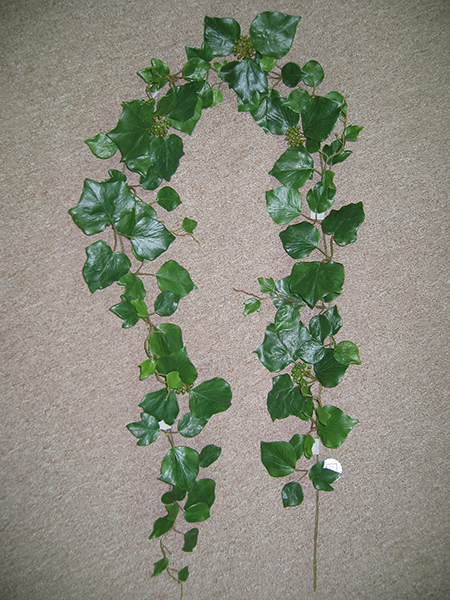 French Ivy Garland