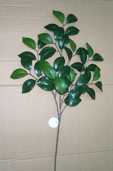 Camellia Spray