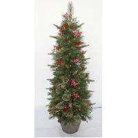 5' Tree