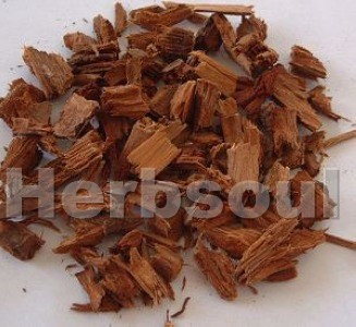 Yohimbe Extract