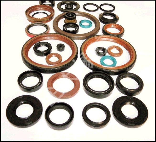 Tc Oil Seal