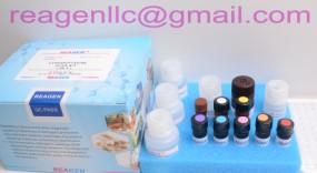 Reagen™quantitative Amantadine Elisa Test Kit In Egg