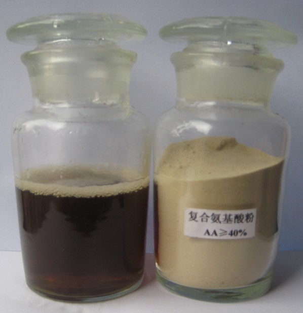 Amino Acids Powder