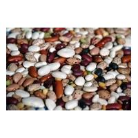 Sell Kidney Beans