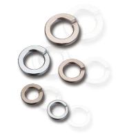 Spring Lock Washer