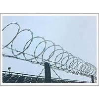 Concertina Wire
