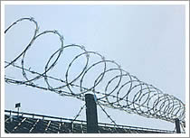 Concertina Wire