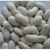 White Kidney Beans