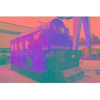 Sell DZL/SZL Coal Fired Tavelling Grate Stoker Steam Boiler Manufacture