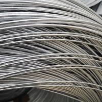 Sell Galvanized Spring Wire, Galvanized Spring Wire