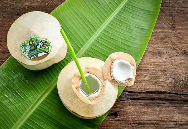 Easy Open Coconut