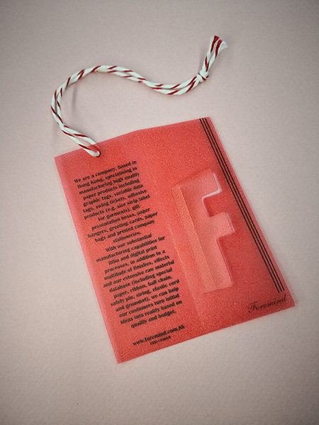 Plastic Hangtag (PVC, Special Cut)