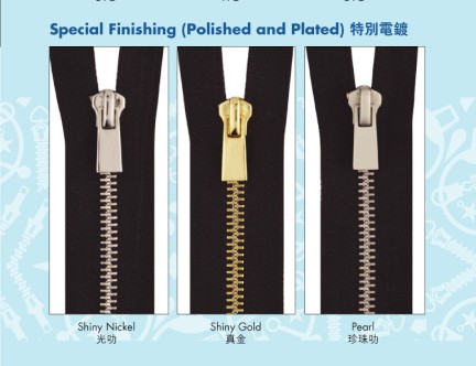 Special Finishing (Polish and Plated)