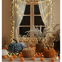 Halloween Decorations