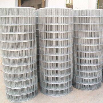 Welded Wire Mesh