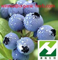 Bilberry Extract