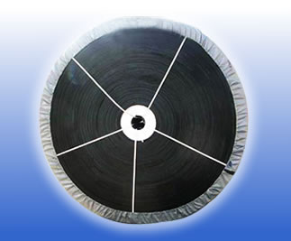 General Conveyor Belt