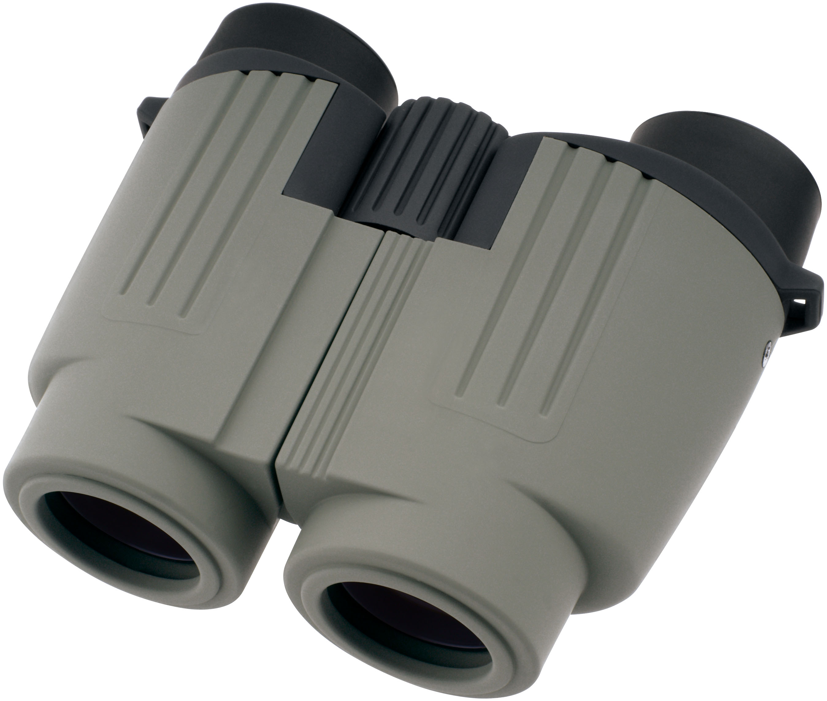 Porro Binoculars