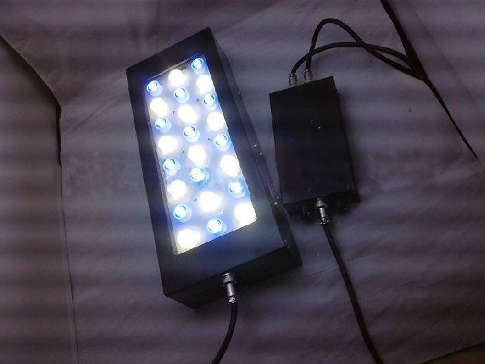 Freshwater Cree Led Fish Tank Coral Reef Aquarium Led Light For Marineland