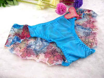 Fancy Panties
